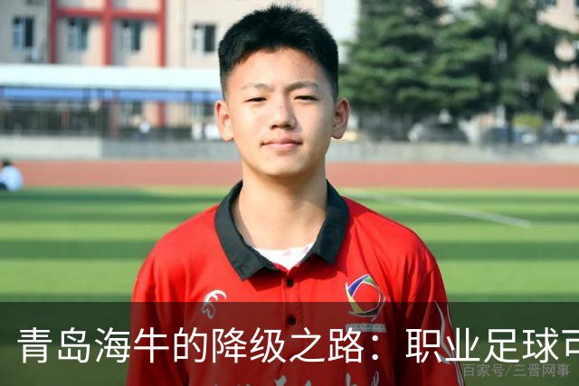 青岛海牛的降级之路：职业足球可不是热闹的游乐场
